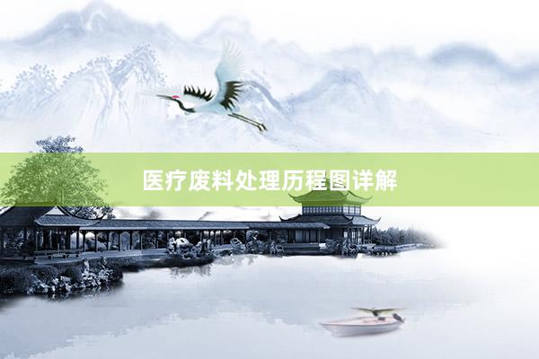 医疗废料处理历程图详解