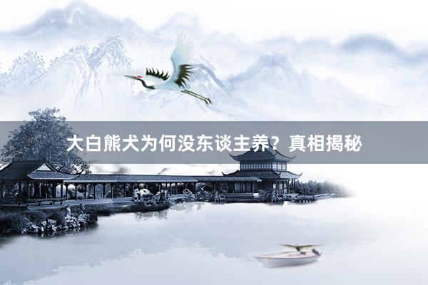 大白熊犬为何没东谈主养？真相揭秘