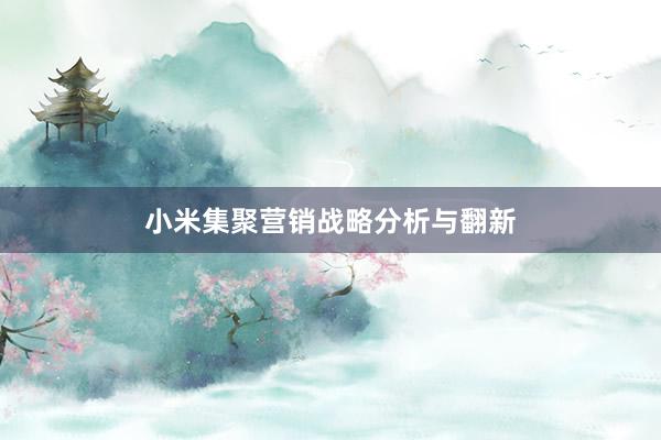 小米集聚营销战略分析与翻新